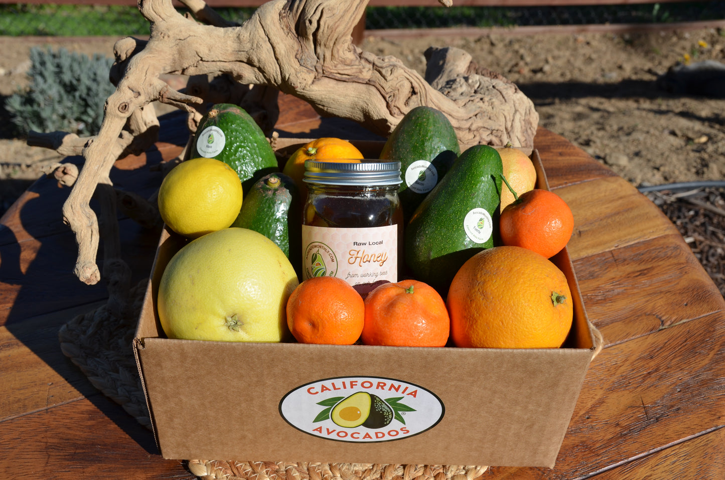 Mini Gift Pack (4 Avocados, 1 Honey, and Assorted Citrus)