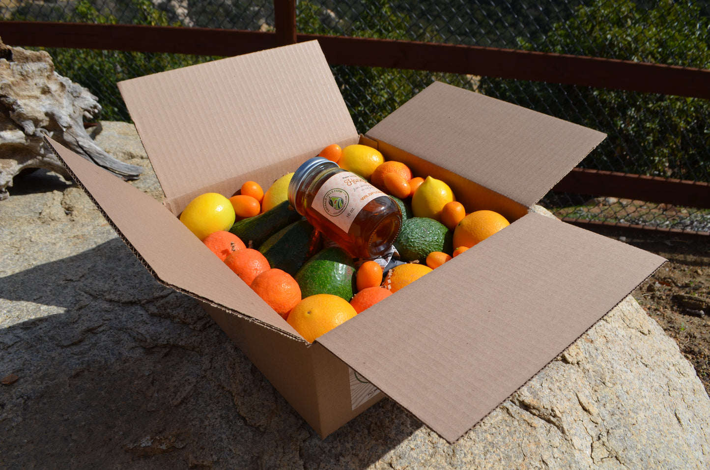 Classic Gift Pack (6 Avocados, 1 Honey, and Assorted Citrus)