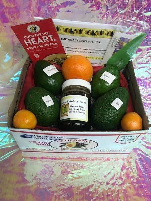 4 Avocado Box