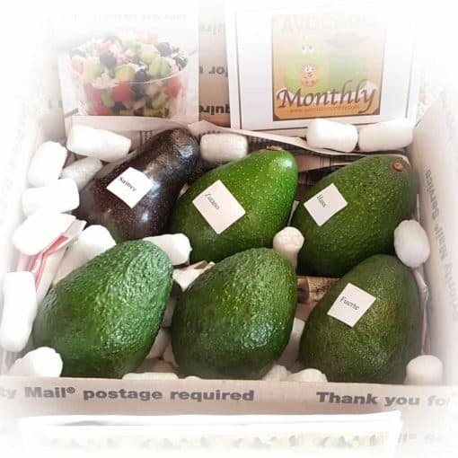 6 - Hass or Gems Avocado Box