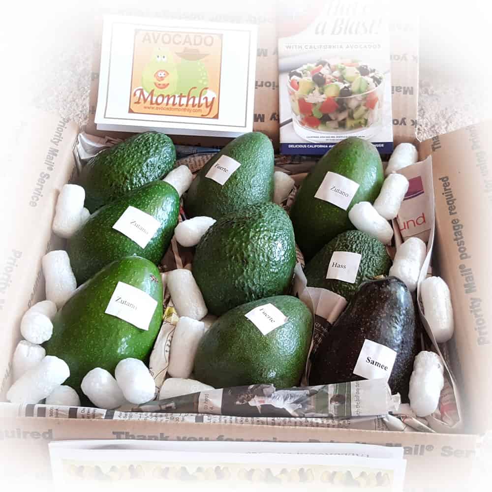 9 - Hass or Gems Avocado Box