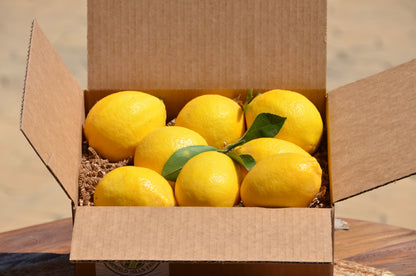 Eureka Lemons (Eight Pounds)