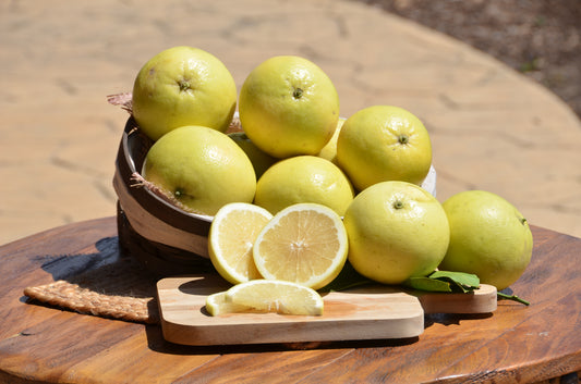 Oroblanco Grapefruit (Eight Pounds)