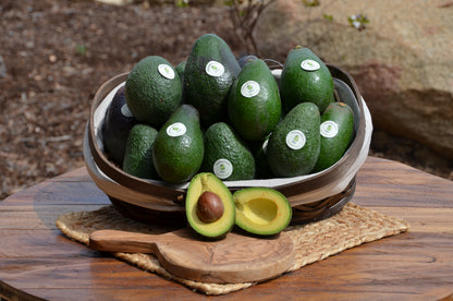 Box of 15 Seasonal Avocados