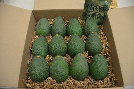 12 Organic Hass Avocados Harvested at the Peak of Perfection