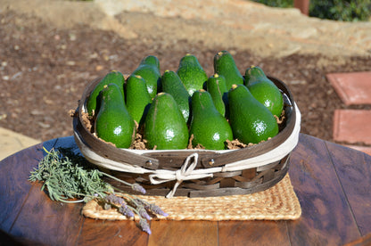 Box of 12 Seasonal Avocados