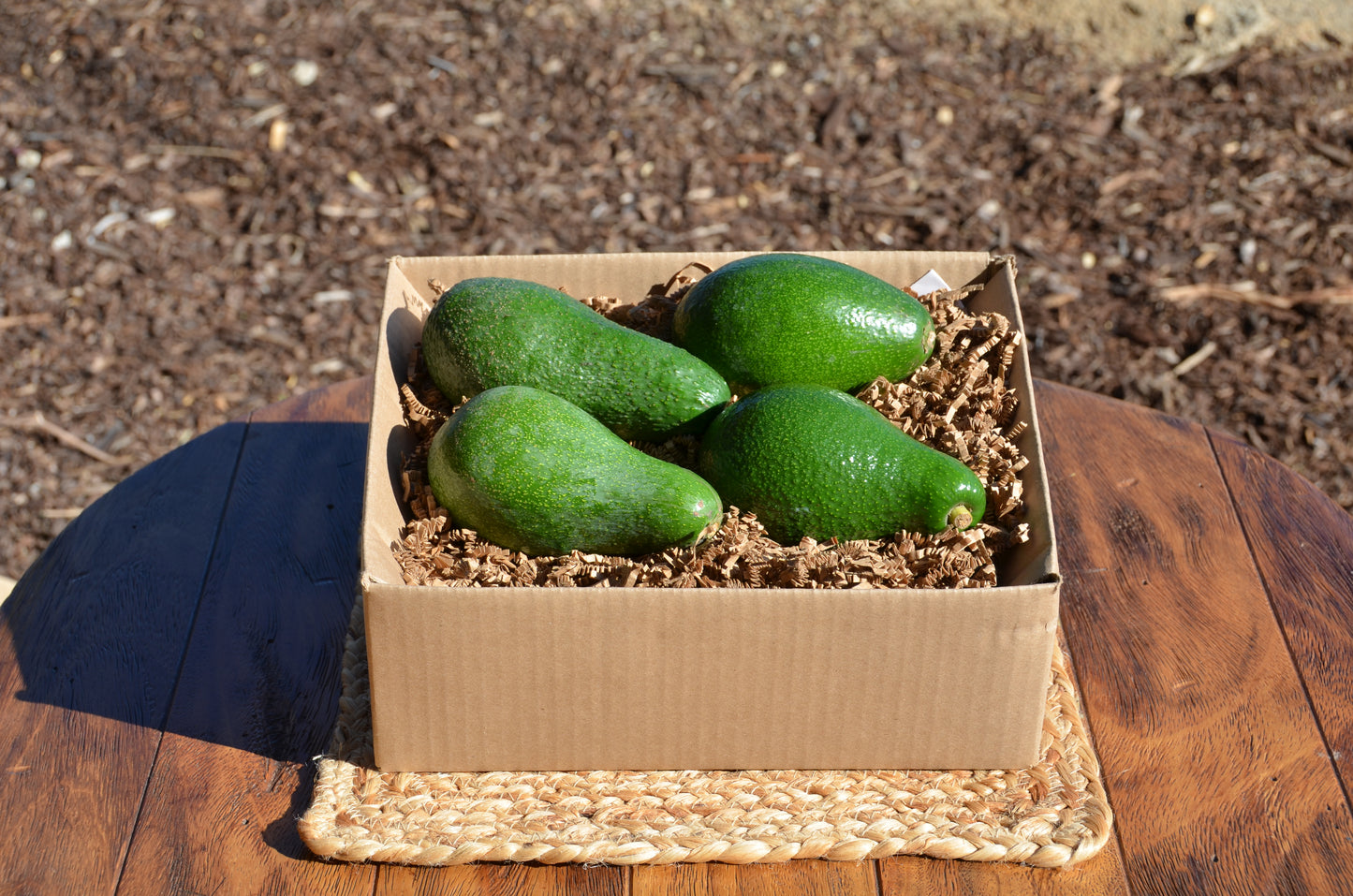 Box of 4 Seasonal Avocados